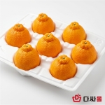 소포장난좌 3kg 5종