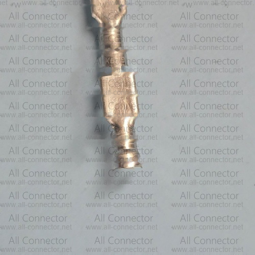 ST730269-3