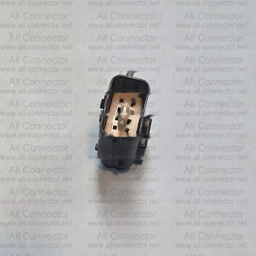 MG646061-5