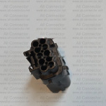 MG646061-5