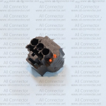 MG644554-5