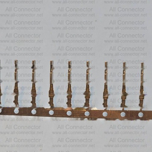 2177909-1