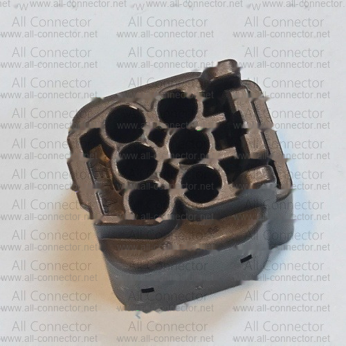 MG645579-5