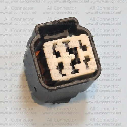 MG645579-5