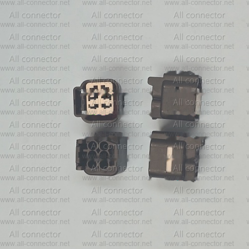 MG645579-5