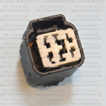 MG645579-5