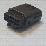 MG646062-5