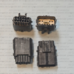 MG646062-5