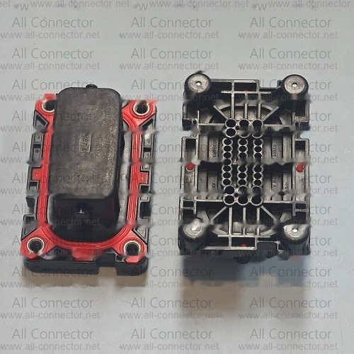 MG646089-5