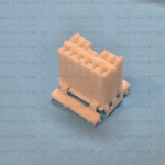 MG610404