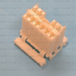 MG610404