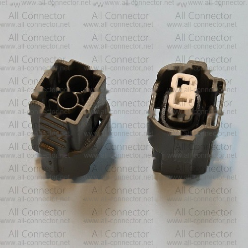 MG641152-4