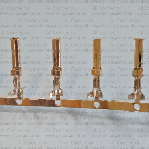 ST740637-3