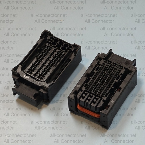 MG654648-5