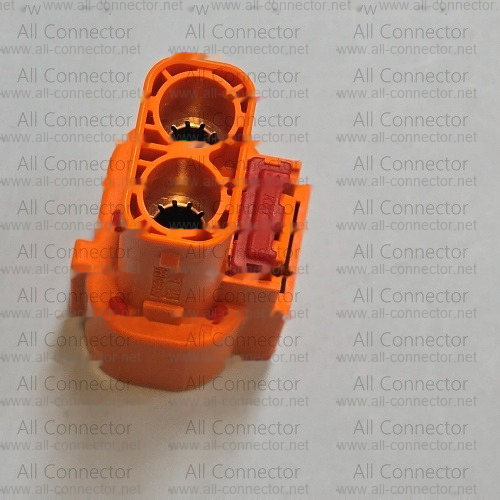 MG656989-11