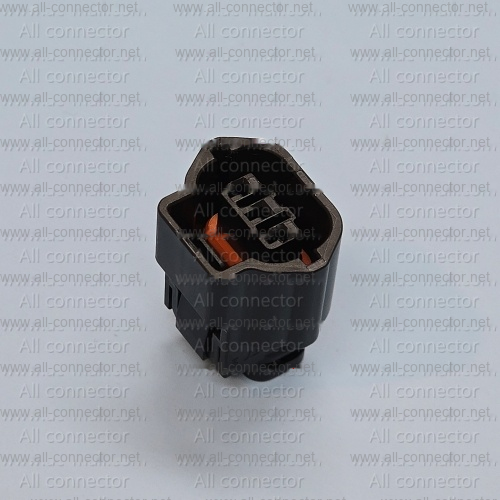 MG643744-5