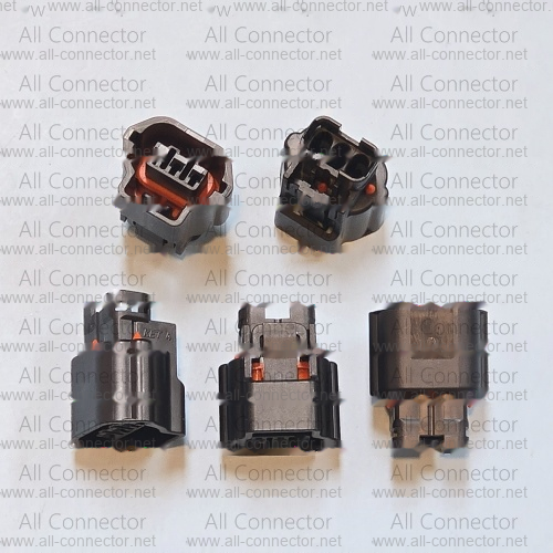 MG643744-5
