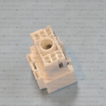 MG645991