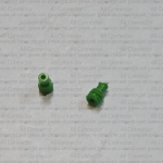 MG685516