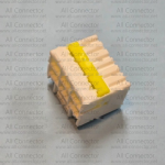 MG655697