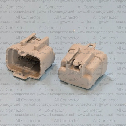 MG643362-41