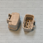 MG643362-41