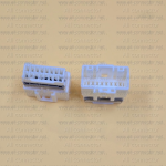 MG645620