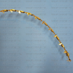 MT025-23000
