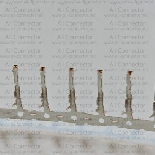 IPS-13065T-01A-T