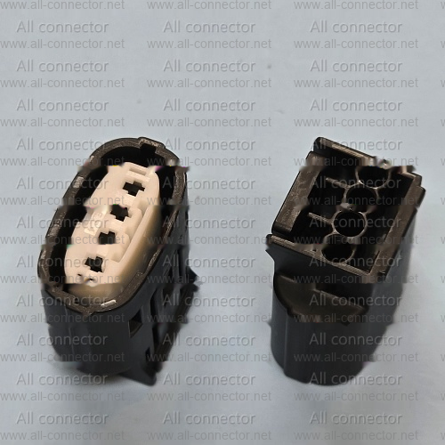 MG644145-5