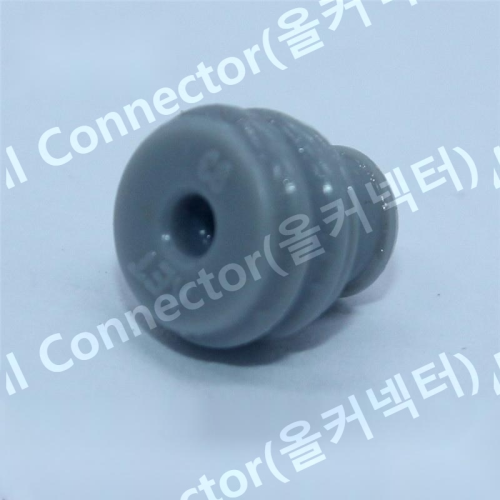 MG681370