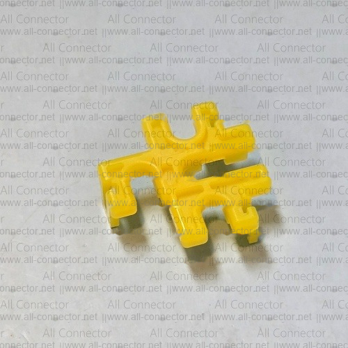 MG632138-3