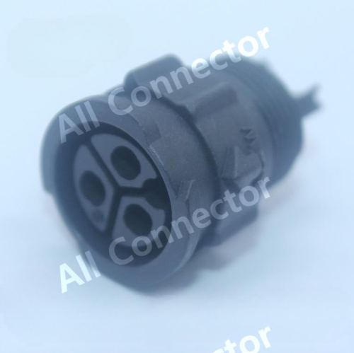 ANA00010971