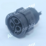 ANA00010971