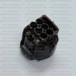 MG641107-5