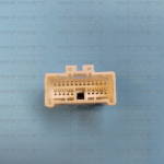 MG641560