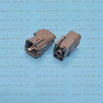 MG651359-4