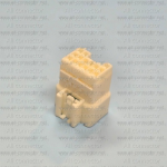 MG641071