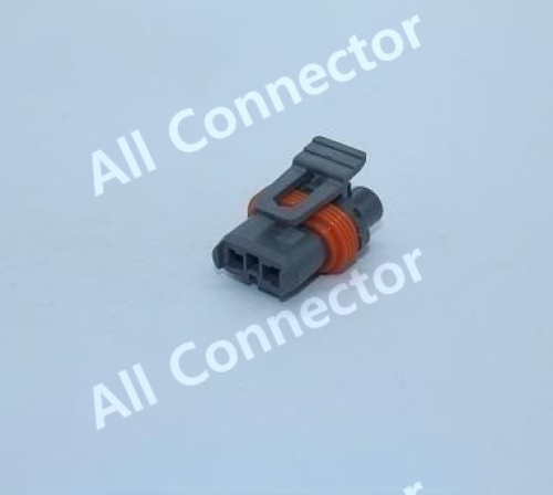 MG654844-4