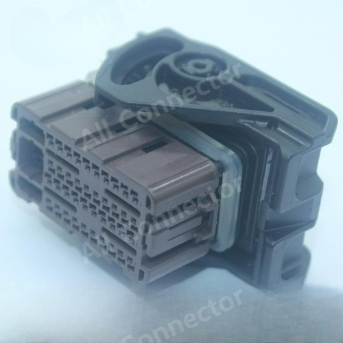 33500420