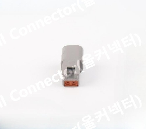 DTM04_2P