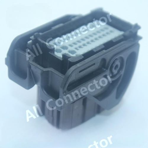 33500419