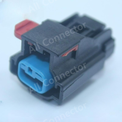 54200206