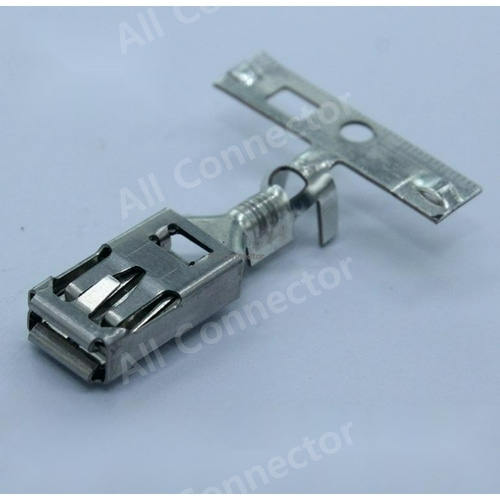 60040431