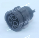 ANA00010971
