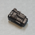 MG610331-5