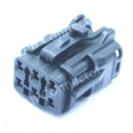 MG610335-5