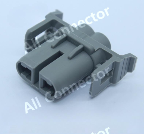 MG612313-40