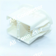 MG621807