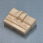 MG641089